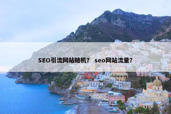 SEO引流网站随机？ seo网站流量？