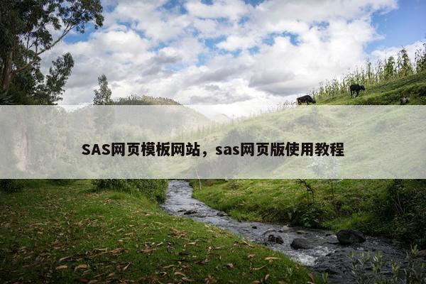 SAS网页模板网站，sas网页版使用教程