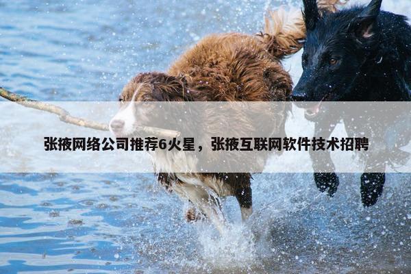 张掖网络公司推荐6火星，张掖互联网软件技术招聘