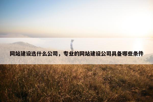 网站建设选什么公司，专业的网站建设公司具备哪些条件