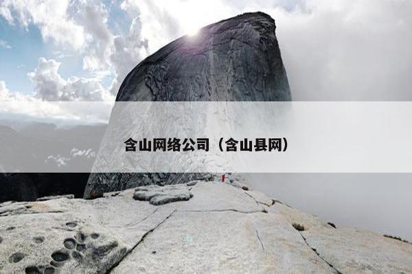 含山网络公司（含山县网）