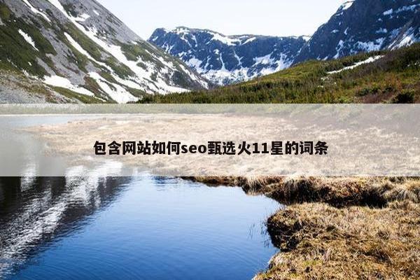 包含网站如何seo甄选火11星的词条