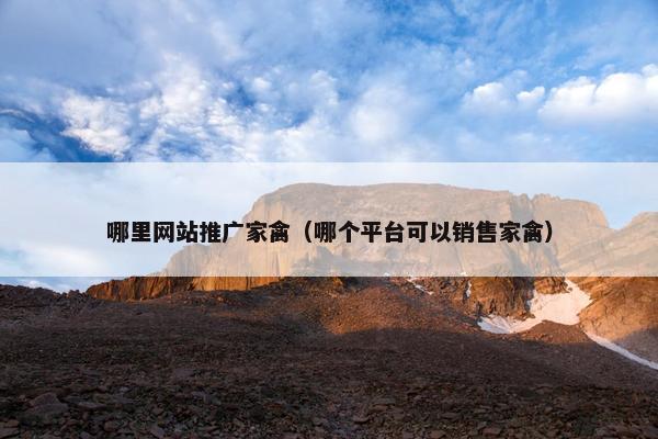 哪里网站推广家禽（哪个平台可以销售家禽）