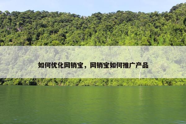 如何优化网销宝，网销宝如何推广产品