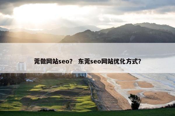 莞做网站seo？ 东莞seo网站优化方式？