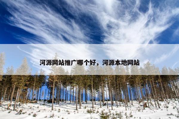 河源网站推广哪个好，河源本地网站