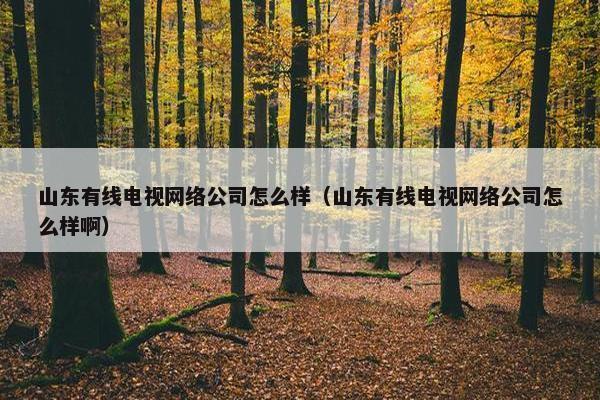 山东有线电视网络公司怎么样（山东有线电视网络公司怎么样啊）