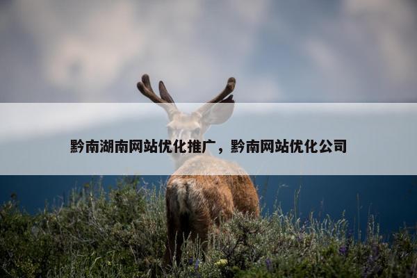 黔南湖南网站优化推广，黔南网站优化公司