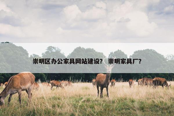 崇明区办公家具网站建设？ 崇明家具厂？