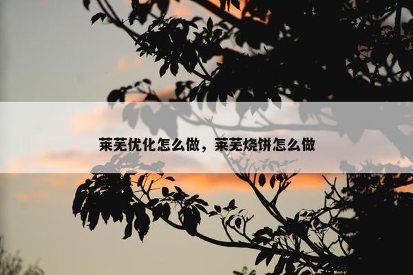 莱芜优化怎么做，莱芜烧饼怎么做