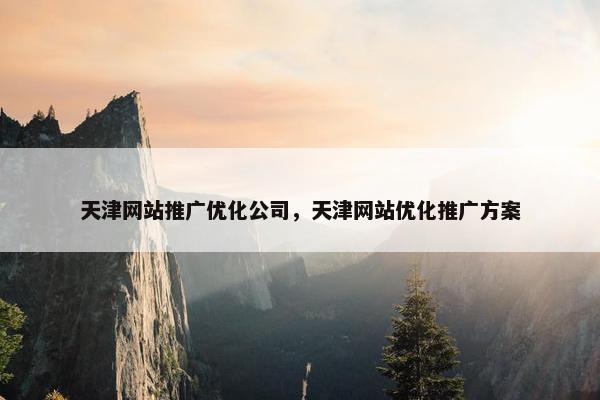 天津网站推广优化公司，天津网站优化推广方案