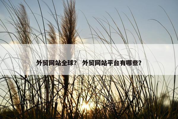 外贸网站全球？ 外贸网站平台有哪些？