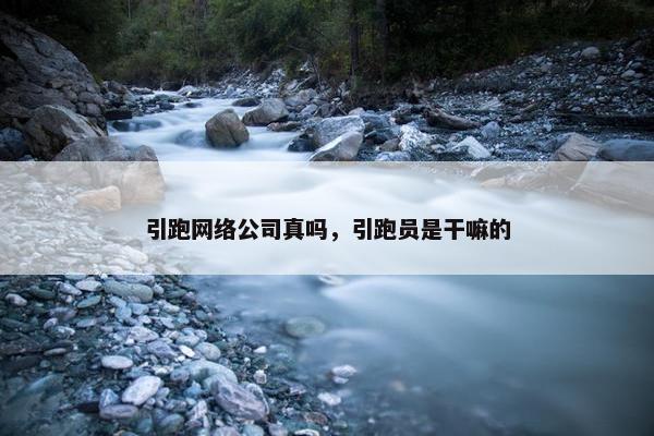 引跑网络公司真吗，引跑员是干嘛的