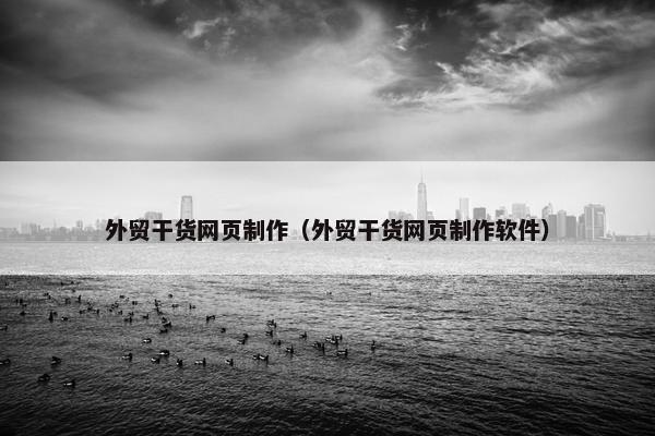 外贸干货网页制作（外贸干货网页制作软件）