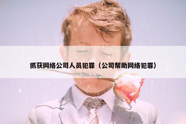 抓获网络公司人员犯罪（公司帮助网络犯罪）