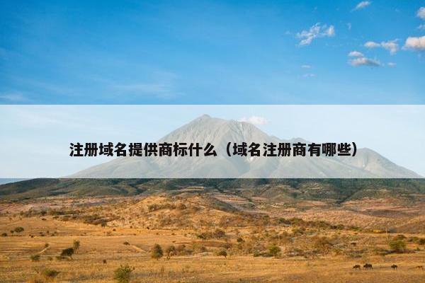 注册域名提供商标什么（域名注册商有哪些）