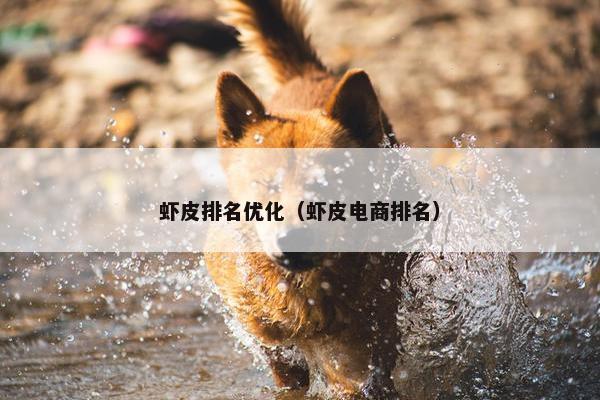 虾皮排名优化（虾皮电商排名）