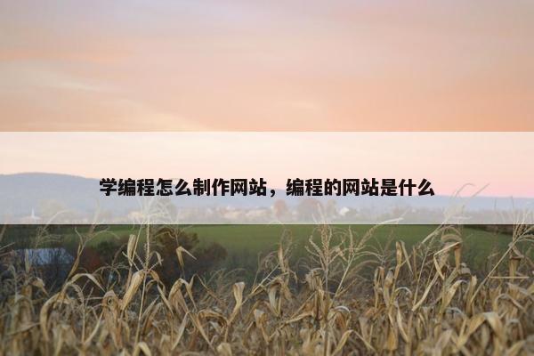 学编程怎么制作网站，编程的网站是什么