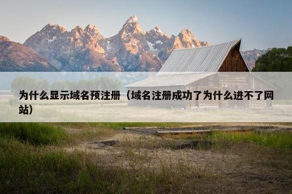 为什么显示域名预注册（域名注册成功了为什么进不了网站）