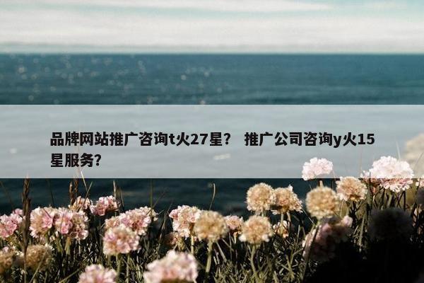 品牌网站推广咨询t火27星？ 推广公司咨询y火15星服务？