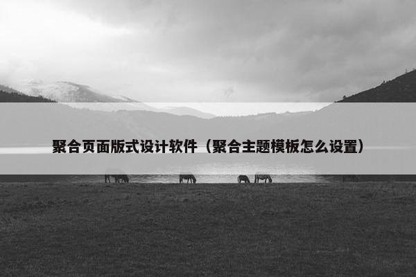 聚合页面版式设计软件（聚合主题模板怎么设置）
