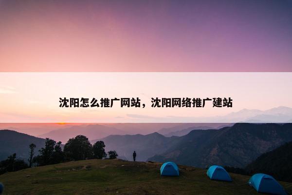 沈阳怎么推广网站，沈阳网络推广建站