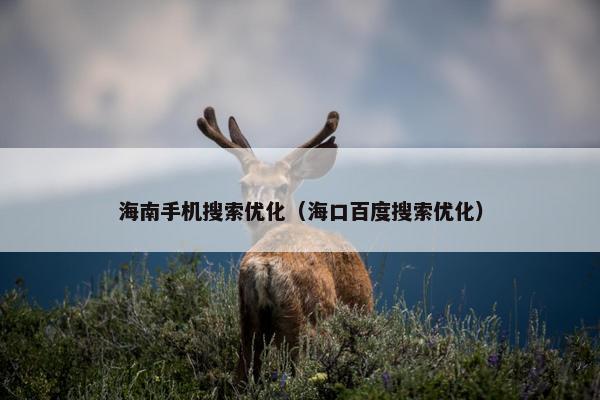 海南手机搜索优化（海口百度搜索优化）