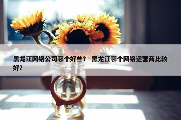 黑龙江网络公司哪个好些？ 黑龙江哪个网络运营商比较好？