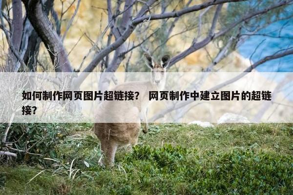 如何制作网页图片超链接？ 网页制作中建立图片的超链接？