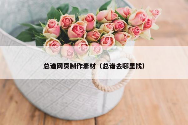 总谱网页制作素材（总谱去哪里找）
