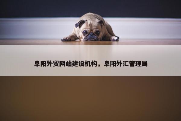 阜阳外贸网站建设机构，阜阳外汇管理局