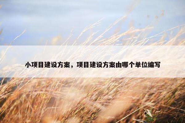 小项目建设方案，项目建设方案由哪个单位编写