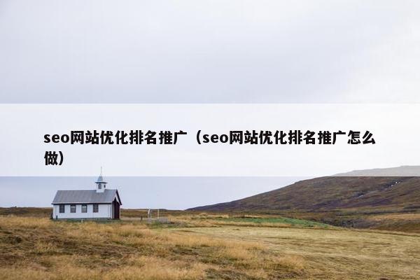 seo网站优化排名推广（seo网站优化排名推广怎么做）