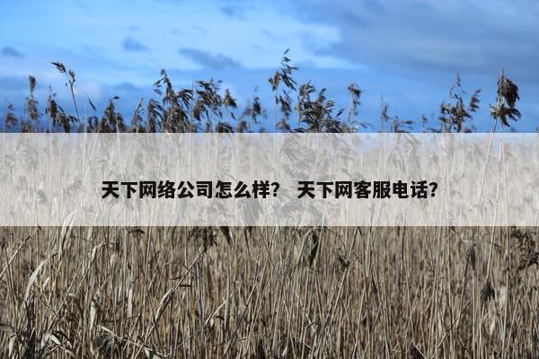 天下网络公司怎么样？ 天下网客服电话？