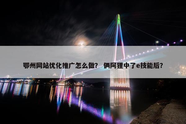 鄂州网站优化推广怎么做？ 俩阿狸中了e技能后？