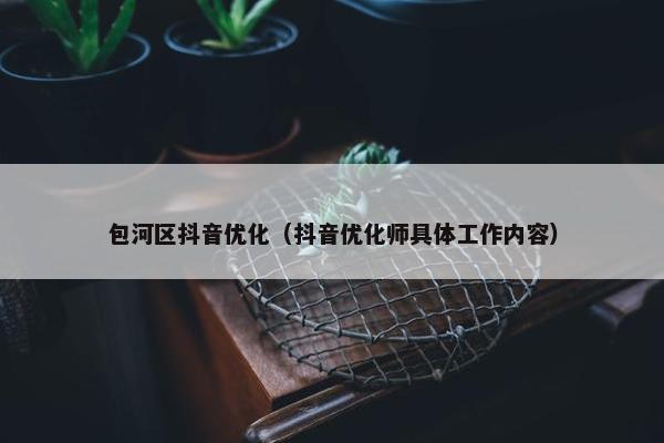 包河区抖音优化（抖音优化师具体工作内容）