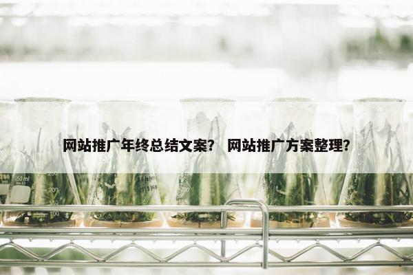 网站推广年终总结文案？ 网站推广方案整理？