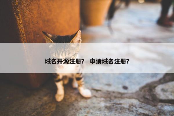 域名开源注册？ 申请域名注册？