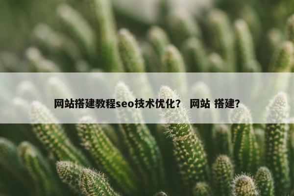 网站搭建教程seo技术优化？ 网站 搭建？