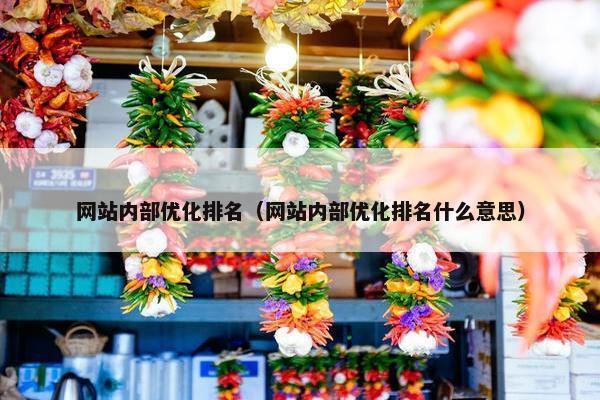 网站内部优化排名（网站内部优化排名什么意思）