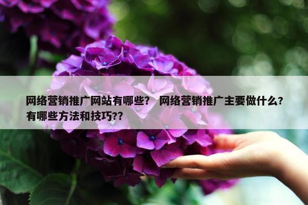 网络营销推广网站有哪些？ 网络营销推广主要做什么?有哪些方法和技巧?？