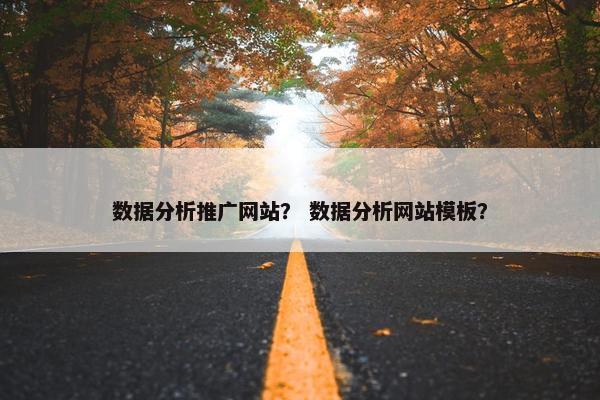 数据分析推广网站？ 数据分析网站模板？