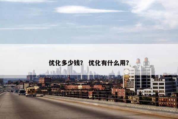 优化多少钱？ 优化有什么用？