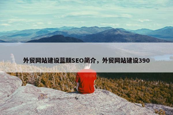 外贸网站建设蓝颜SEO简介，外贸网站建设390