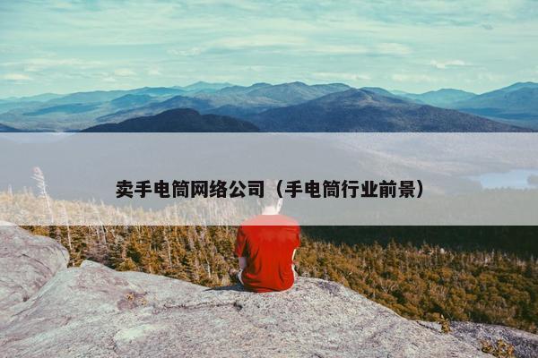 卖手电筒网络公司（手电筒行业前景）