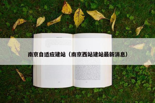 南京自适应建站（南京西站建站最新消息）