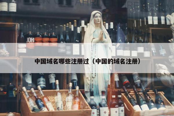 中国域名哪些注册过（中国的域名注册）