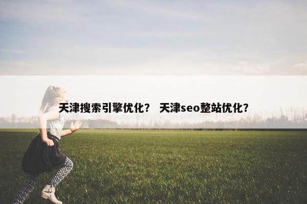 天津搜索引擎优化？ 天津seo整站优化？
