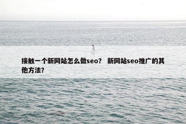 接触一个新网站怎么做seo？ 新网站seo推广的其他方法？