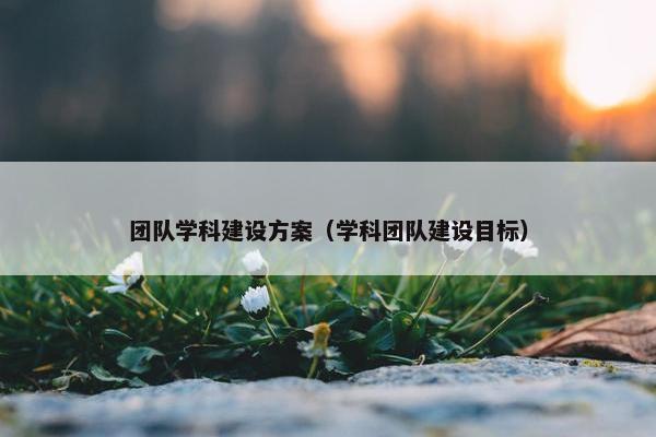 团队学科建设方案（学科团队建设目标）